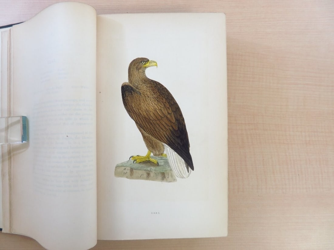 Volumes F. O. Morris "A History of British Birds" 1868 1st Edition Complete 6 (1 of 10)