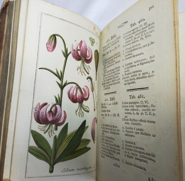 Plate Johannes Zorn Icones Plantarum Medicinalium Vol V 1784 1st ed Hand Colored (1 of 10)