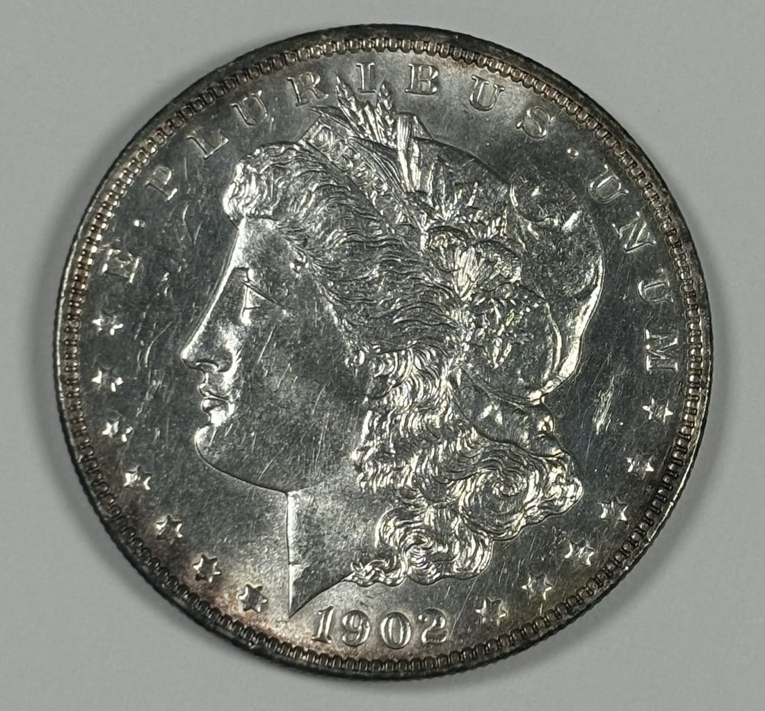 DETAILS 1902 MORGAN DOLLAR UNC: DETAILS 1902 MORGAN DOLLAR UNC This listing features DETAILS 1902 MORGAN DOLLAR UNC. Item specifics are provided below. Item Specifics: Circulated/Uncirculated: Uncirculated Denomination: $1 Coin: Mor