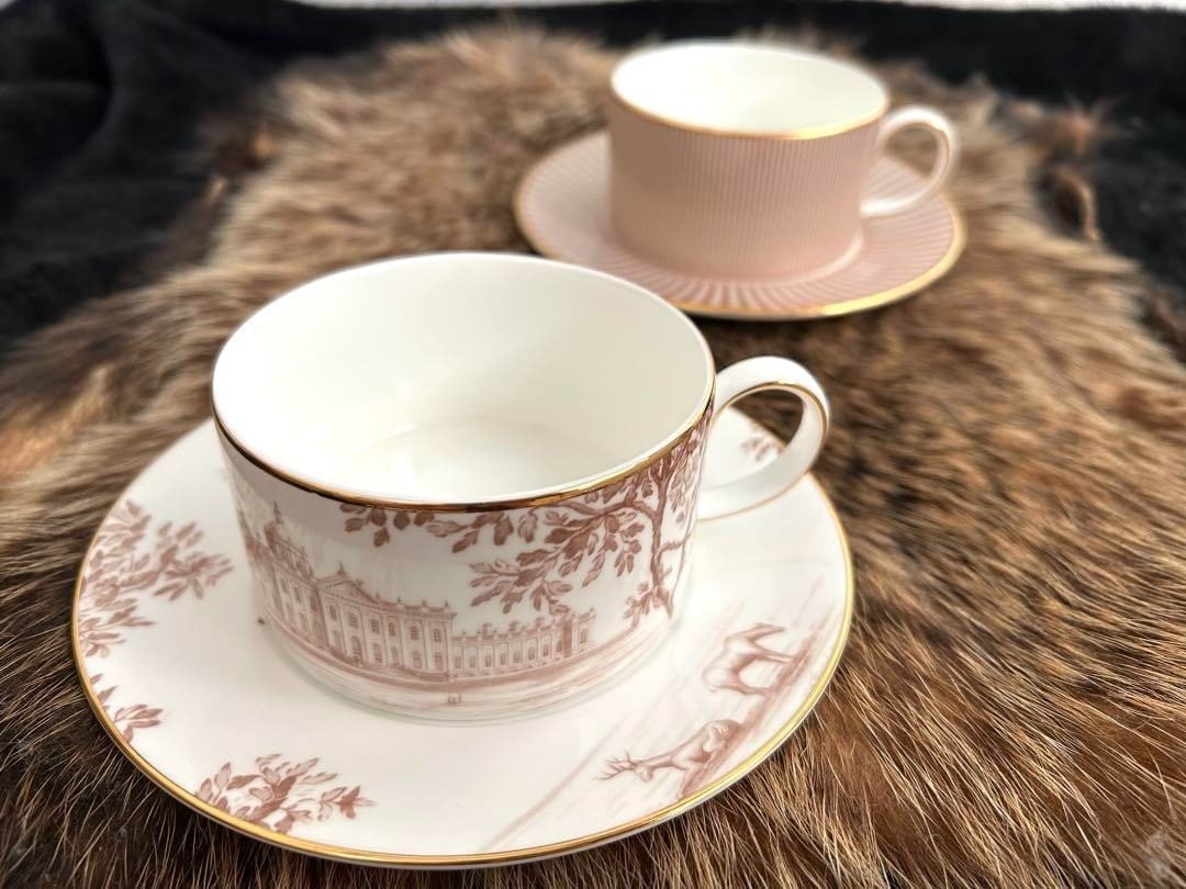 Collectible Wedgwood Palladian Cup Saucer Pair Set Bone China Tableware Rare (1 of 6)