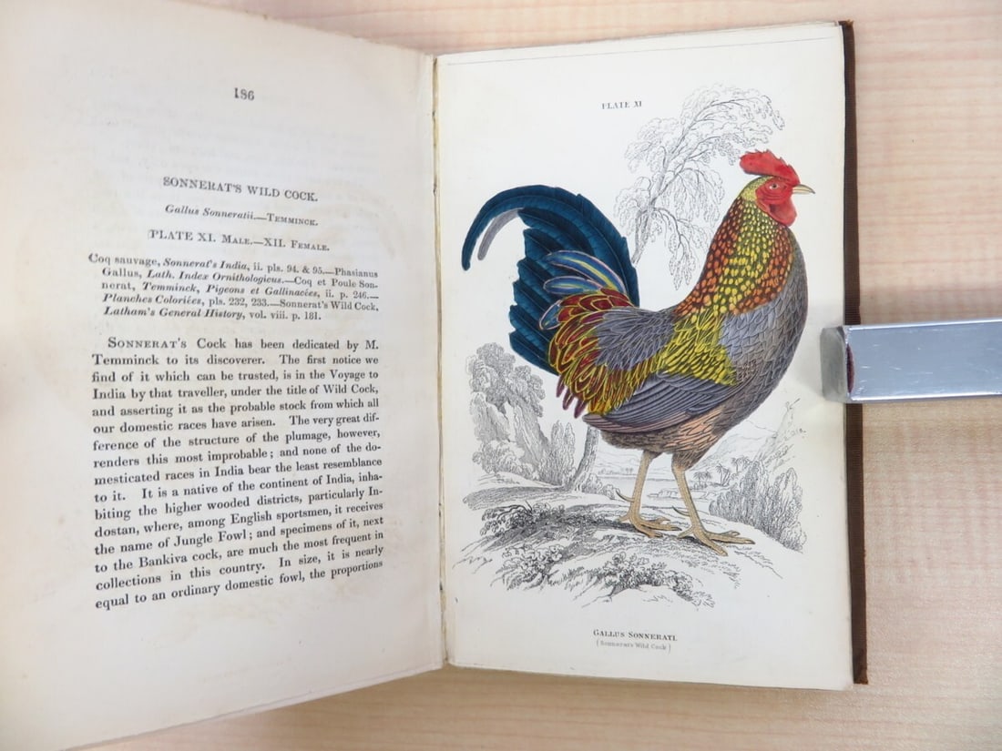 1605 Marcos de Lisboa Delle croniche de gli ordini instituiti dal P.S. Francesco: 1605 Marcos de Lisboa Delle croniche de gli ordini instituiti dal P.S. Francesco This listing features 1605 Marcos de Lisboa Delle croniche de gli ordini instituiti dal P.S. Francesco. Item specifics