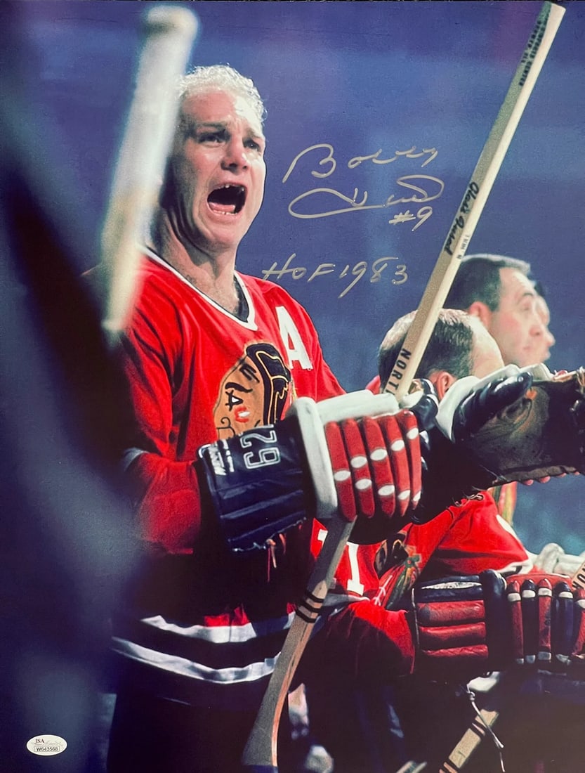 (JSA) Bobby Hull Autographed 16x20 Hockey Photo (1 of 1)