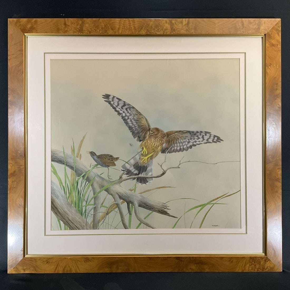 Art Maurice J. Pledger Hen Harrier Original Pastel Painting Wildlife Bird (1 of 10)