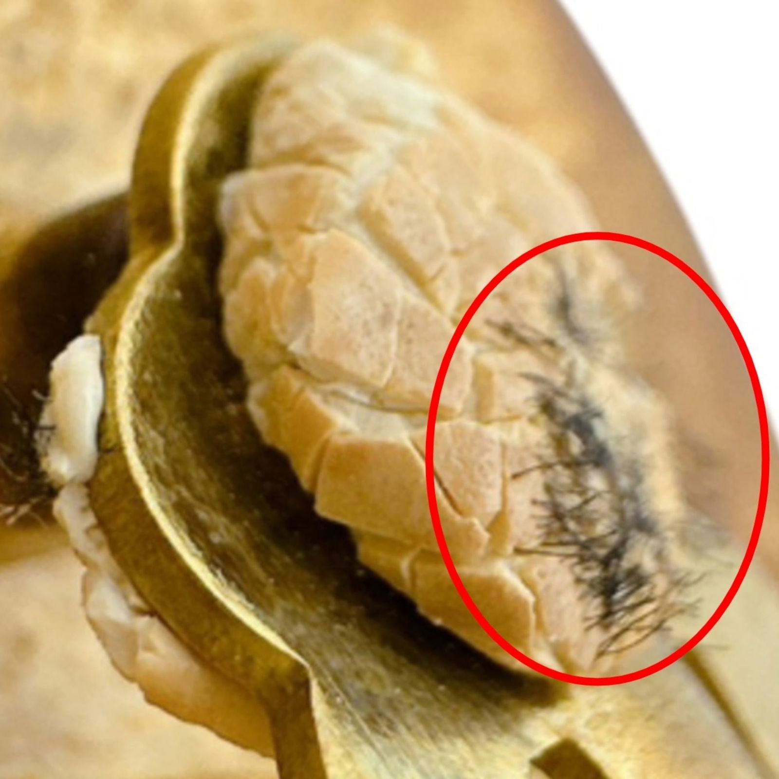 Earrings Chanel Clip - 6