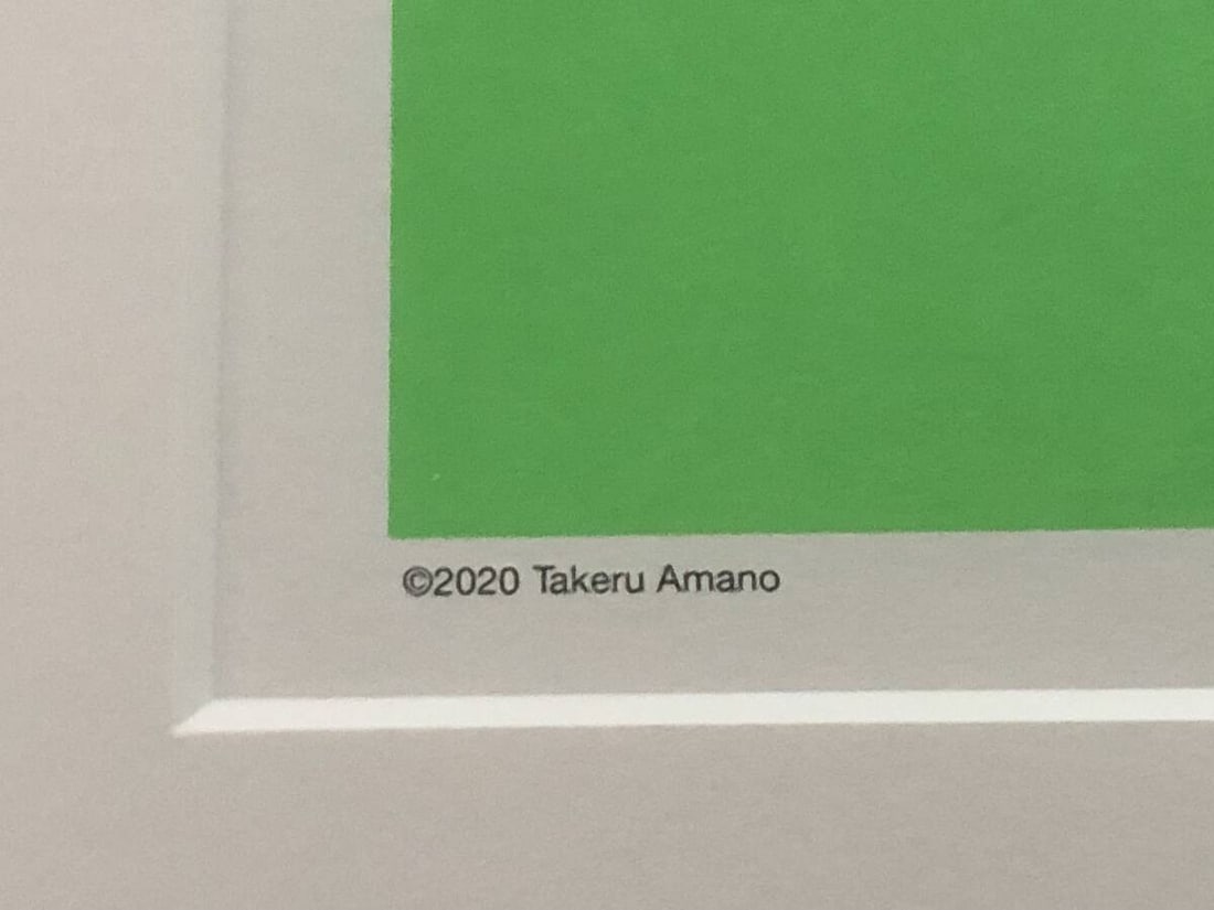Takeru Amano Hand Signed Offset Print Framed - 4