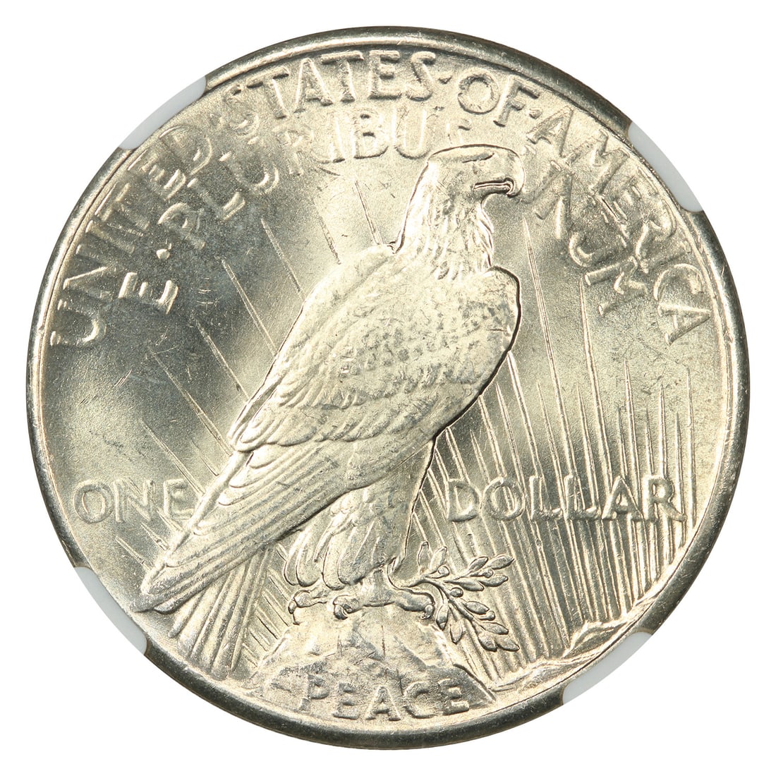 NGC MS66+ 1925 Peace Dollar - 4