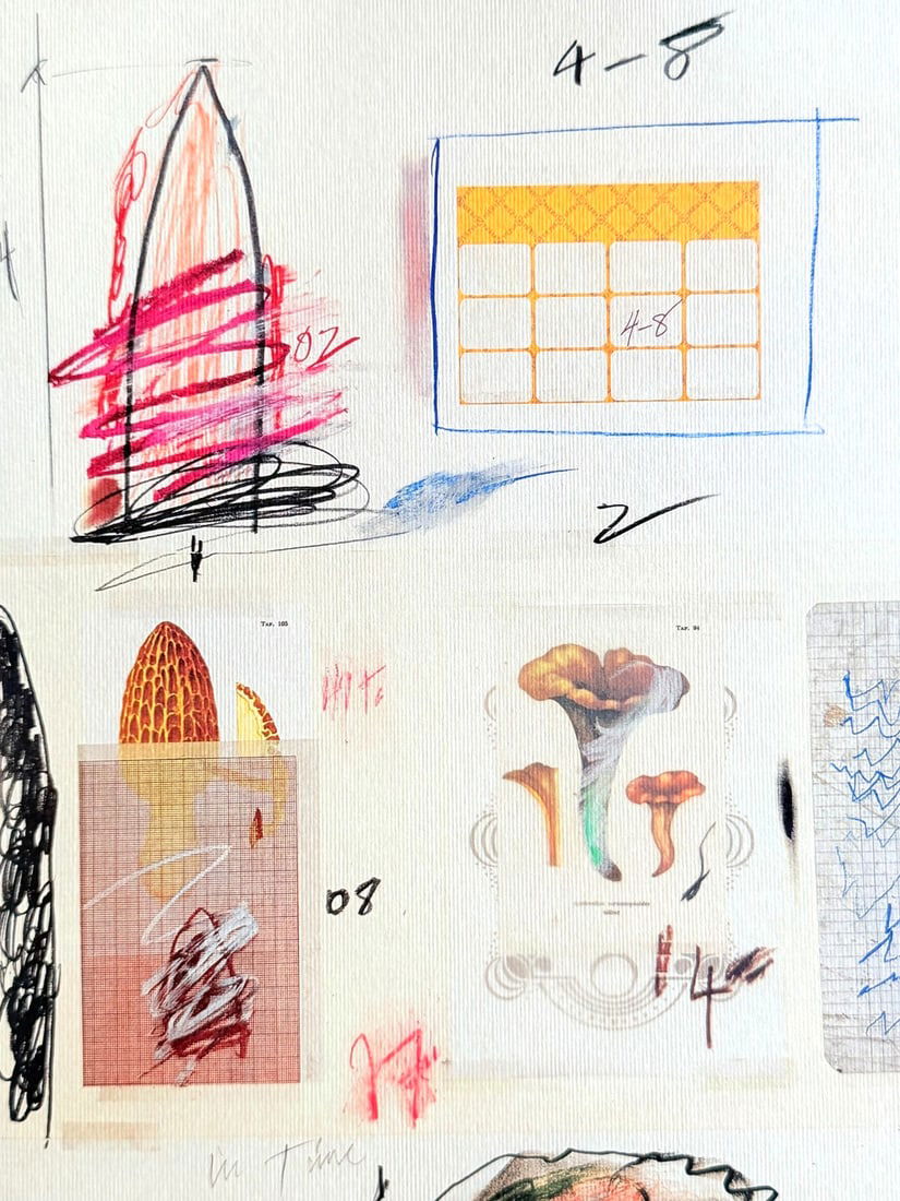 Numbered Cy Twombly Lithograph - 3