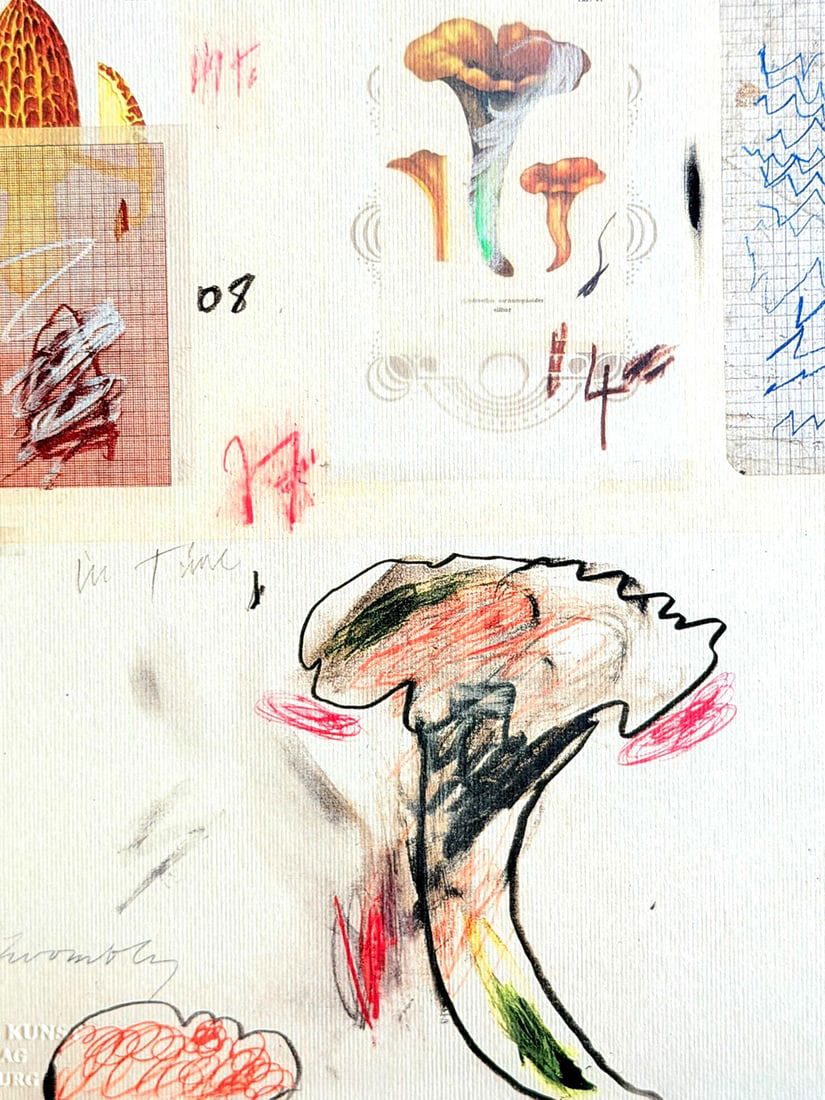 Numbered Cy Twombly Lithograph - 5