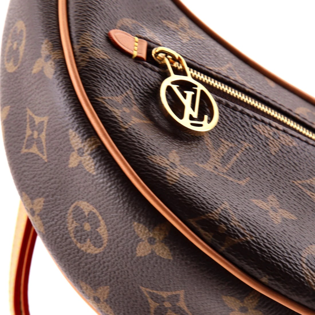 Louis Vuitton Monogram Canvas Loop Handbag - 6