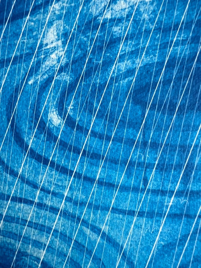 David Hockney Lithograph 'Rain' (Numbered) - 6