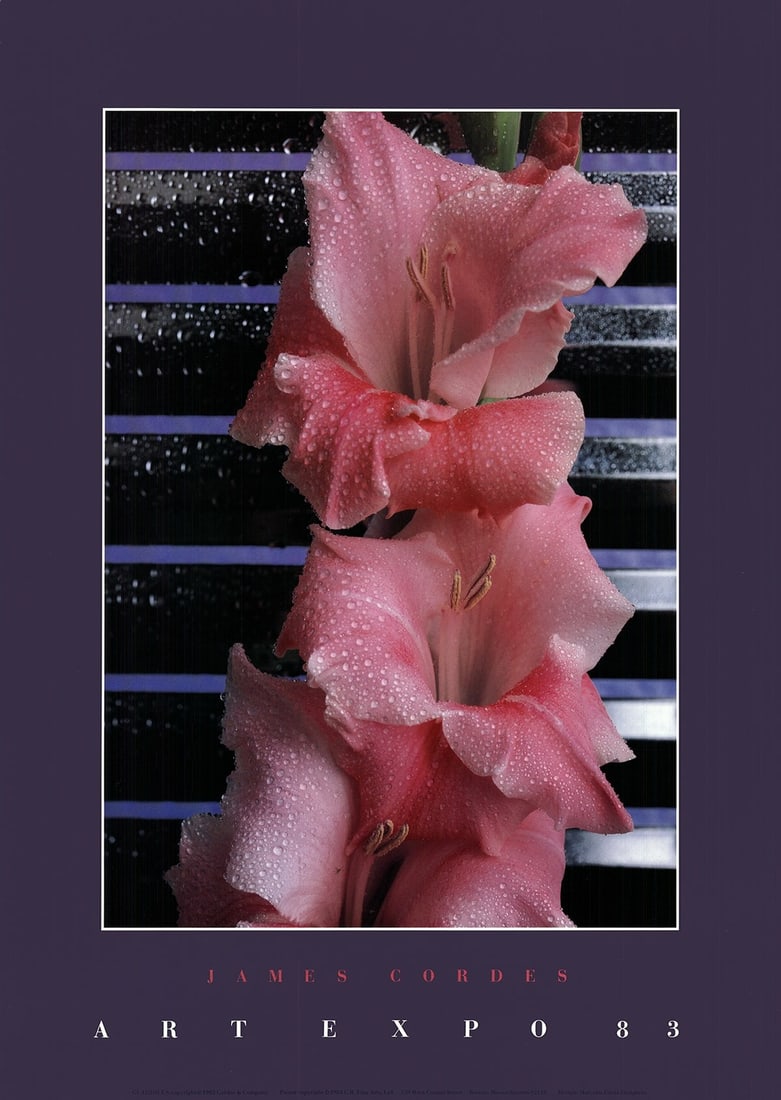 James Cordes 1983 28" x 20" Pink and Blue Gladiolus Photography Poster: James Cordes 1983 28" x 20" Pink and Blue Gladiolus Photography Poster A stunning 1983 offset lithograph by James Cordes, this 28" x 20" poster showcases a beautiful pink and blue gladiolus in exquisi