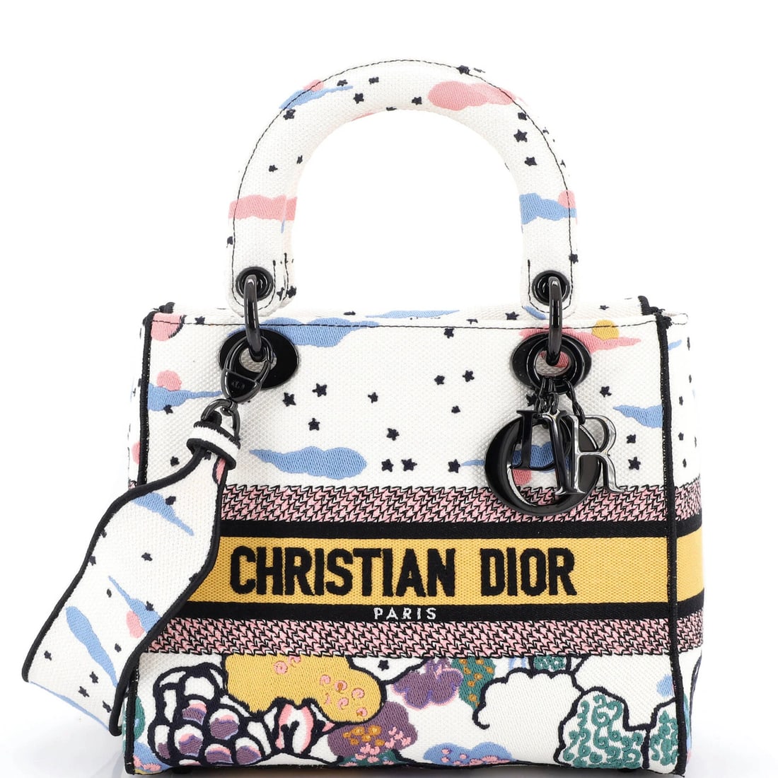 Christian Dior Lady D-Lite Embroidered Canvas Medium Bag: Christian Dior Lady D-Lite Embroidered Canvas Medium Bag The Christian Dior Lady D-Lite Embroidered Canvas Medium Bag is a vibrant and eye-catching accessory that showcases the iconic brand's