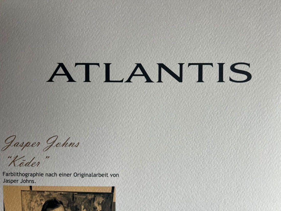 180 Jasper Johns Lithograph Op Numbered - 9