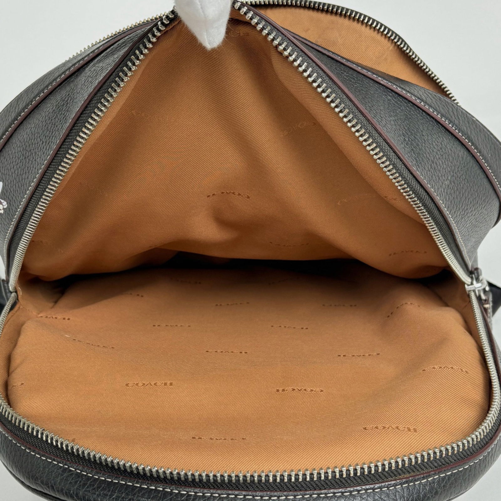 Coach Leather Backpack - 9