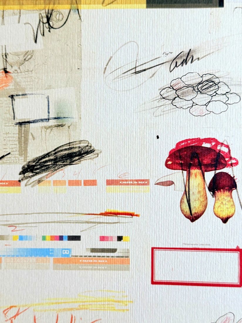 Numbered Cy Twombly Lithograph - 5