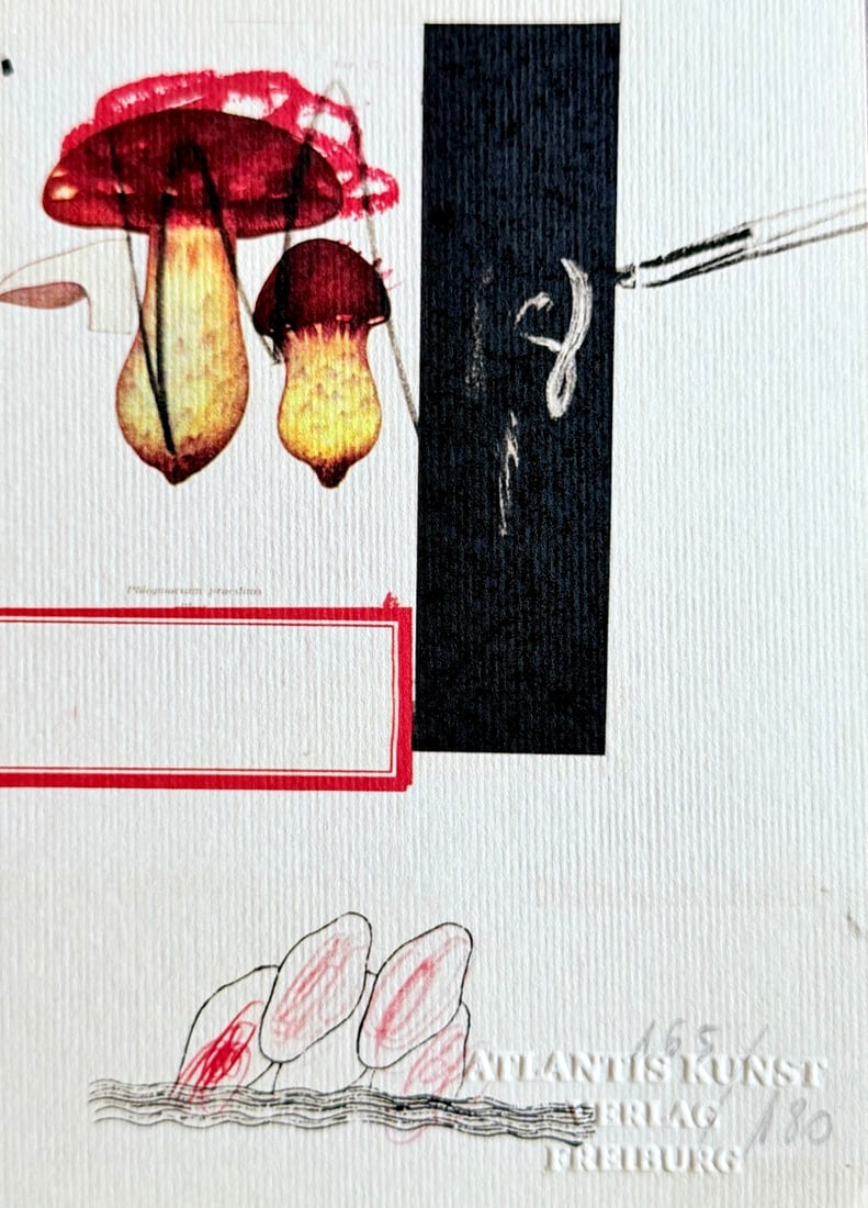 Numbered Cy Twombly Lithograph - 7