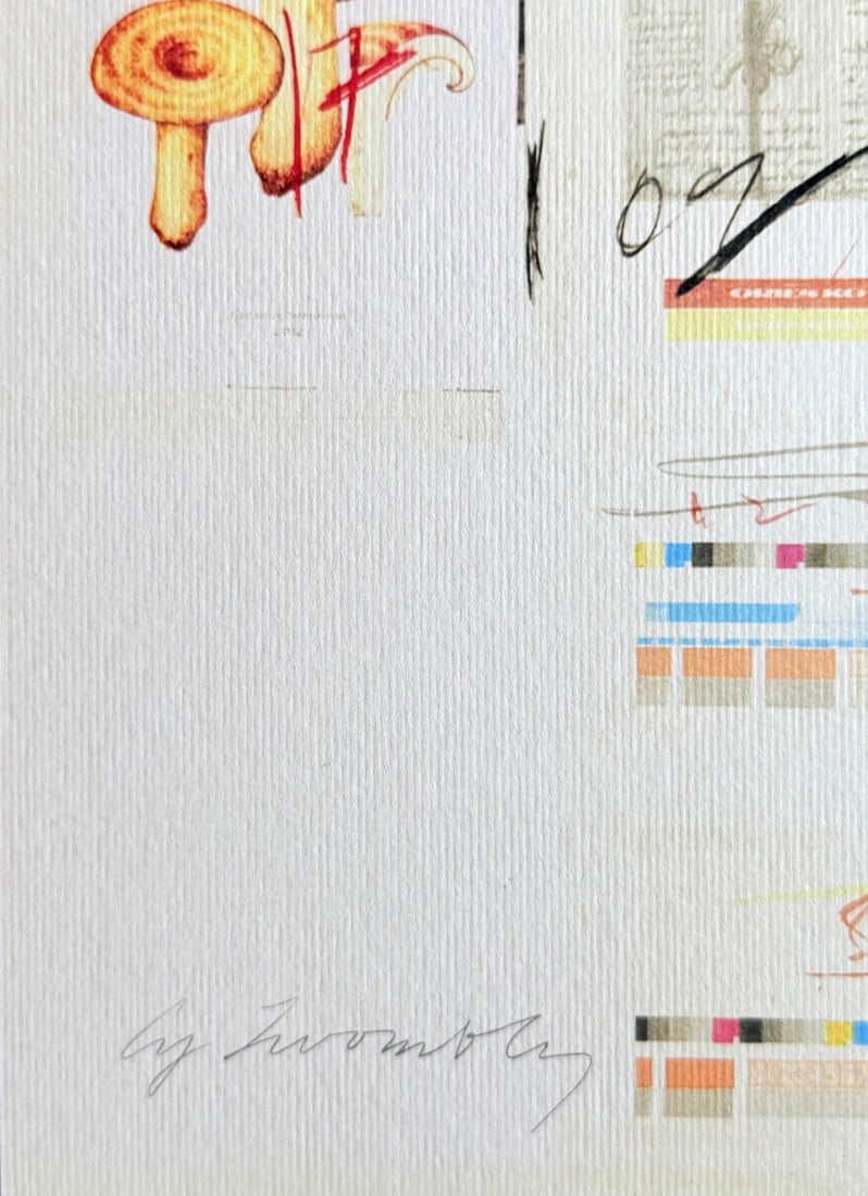 Numbered Cy Twombly Lithograph - 8