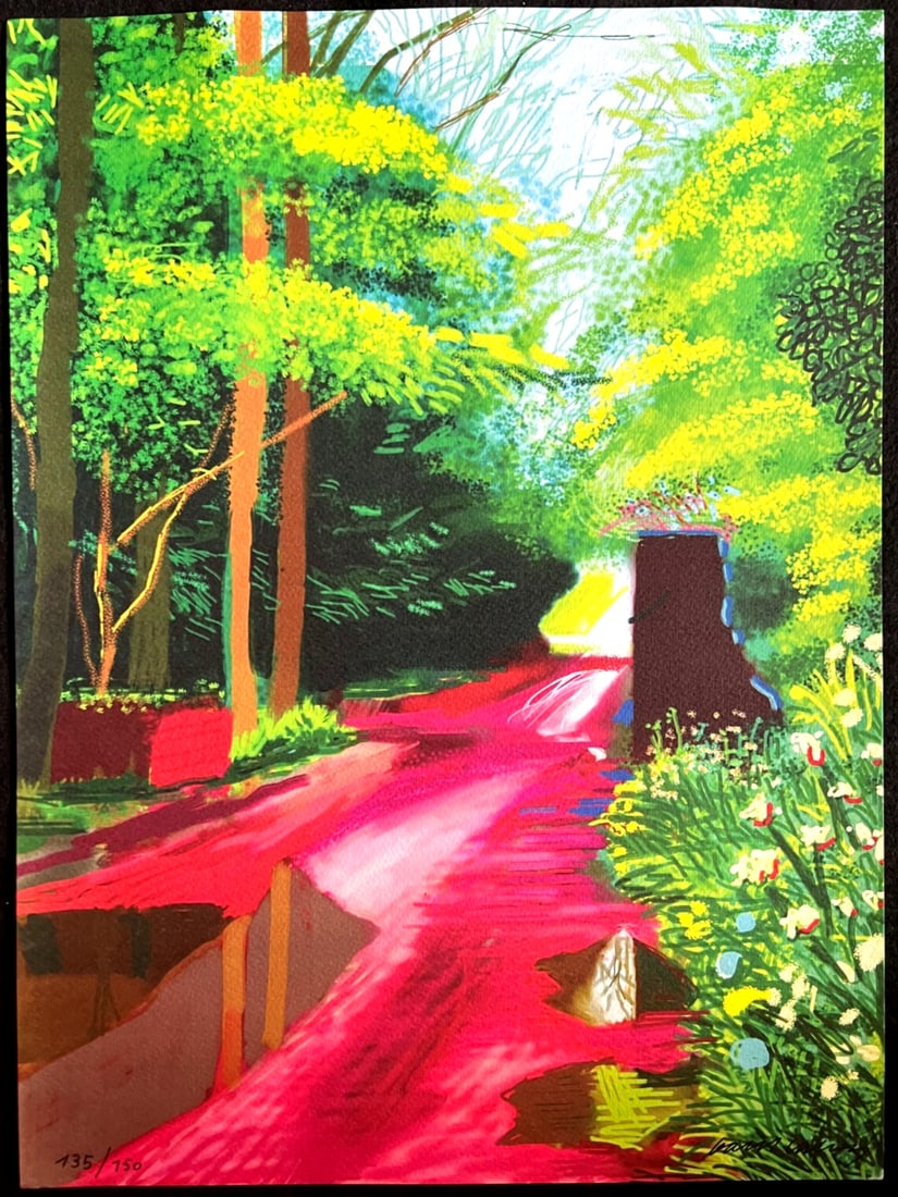Limited David Hockney Lithograph Op Numbered (1 of 12)