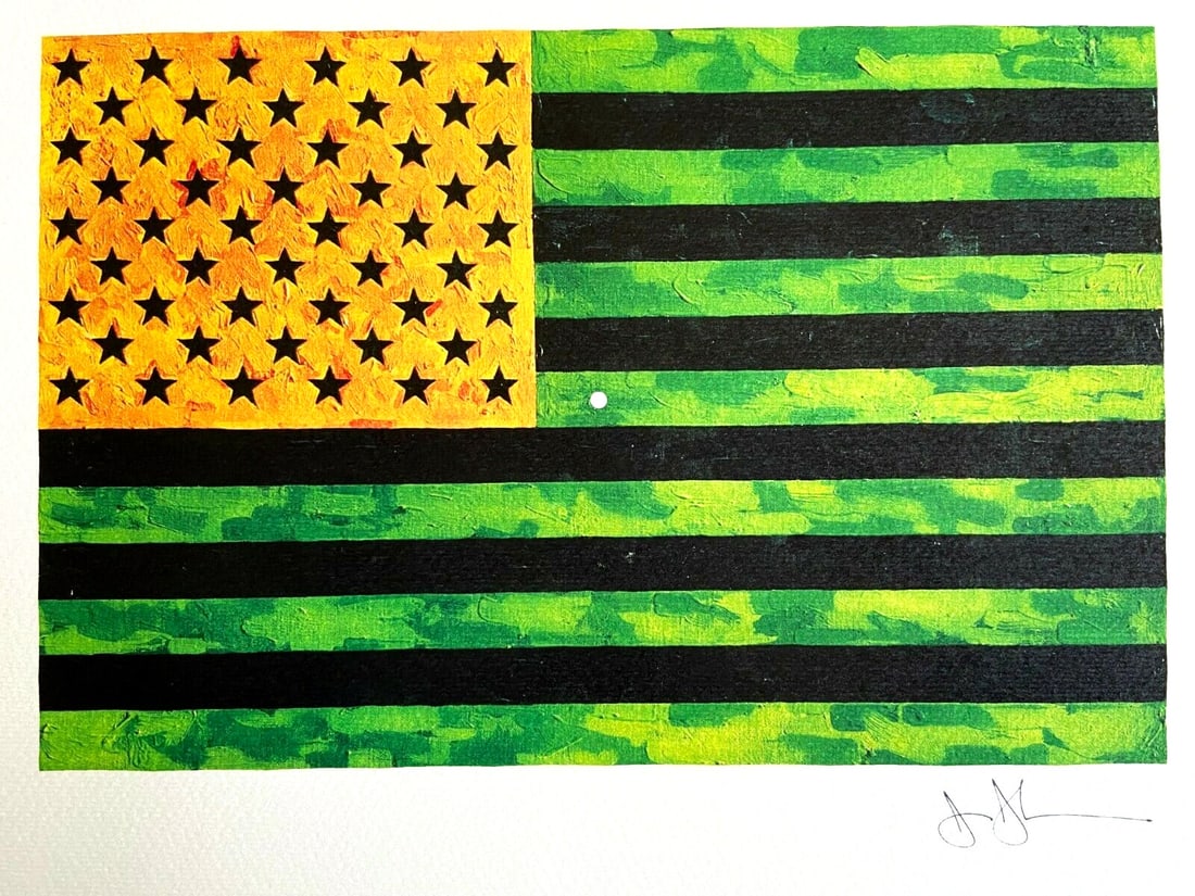 250 Jasper Johns Lithograph Numbered Limited Edition Op (1 of 8)