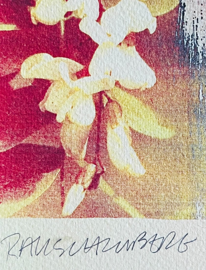 A Robert Rauschenberg Lithograph op Numbered - 8