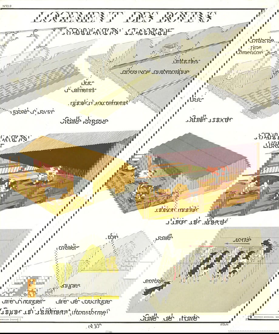 Contempo EMILE DEYROLLE Logement Des Bovins 35.5" x 29.5" Offset Lithograph 1960: Contempo EMILE DEYROLLE Logement Des Bovins 35.5" x 29.5" Offset Lithograph 1960 A stunning 1960 offset lithograph by French artist Emile Deyrolle, "Logement Des Bovins" showcases the artist's unique