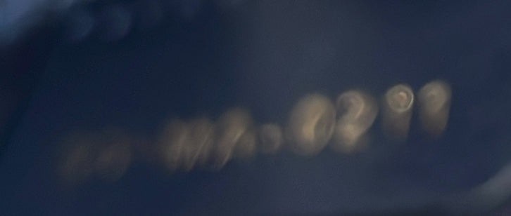 Christian Dior Lady D-Lite Toile de Jouy Embroidered Canvas Bag - 6