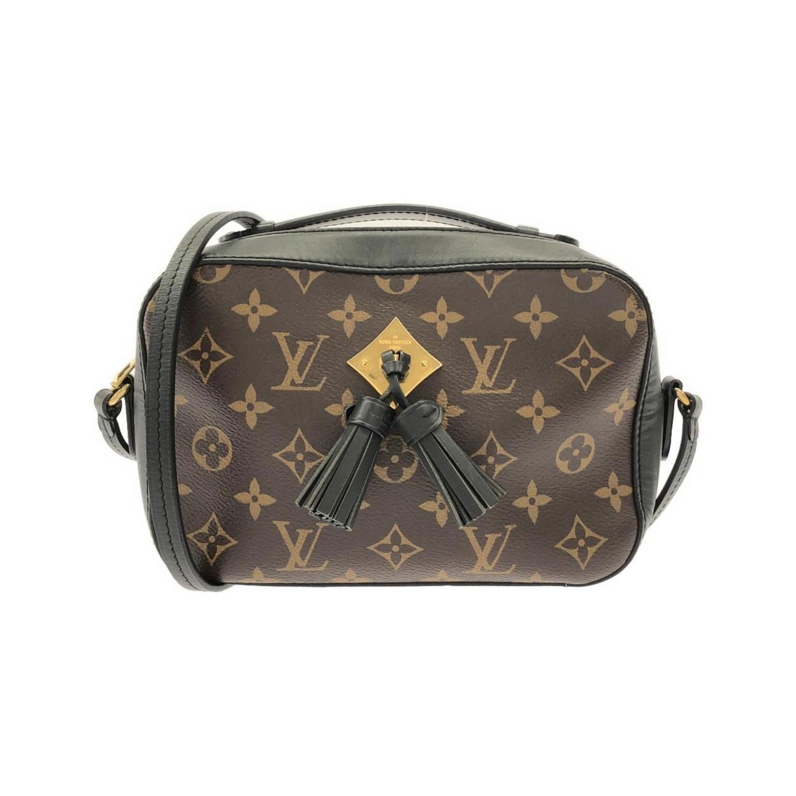 Louis Vuitton Coated Canvas and Leather Shoulder Bag (1 of 7)