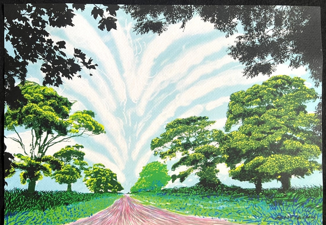 Limited David Hockney Lithograph Op Numbered (1 of 13)