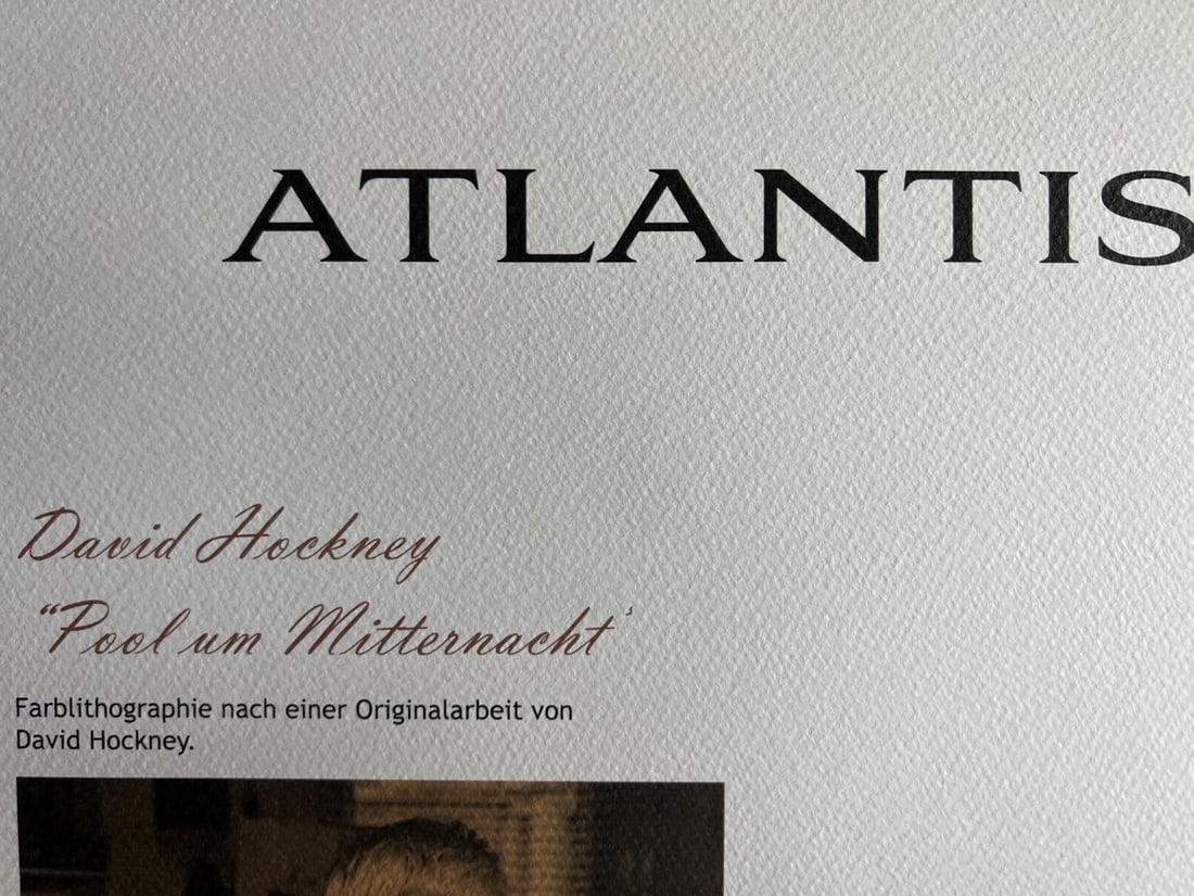 David Hockney Midnight Lithograph - 8