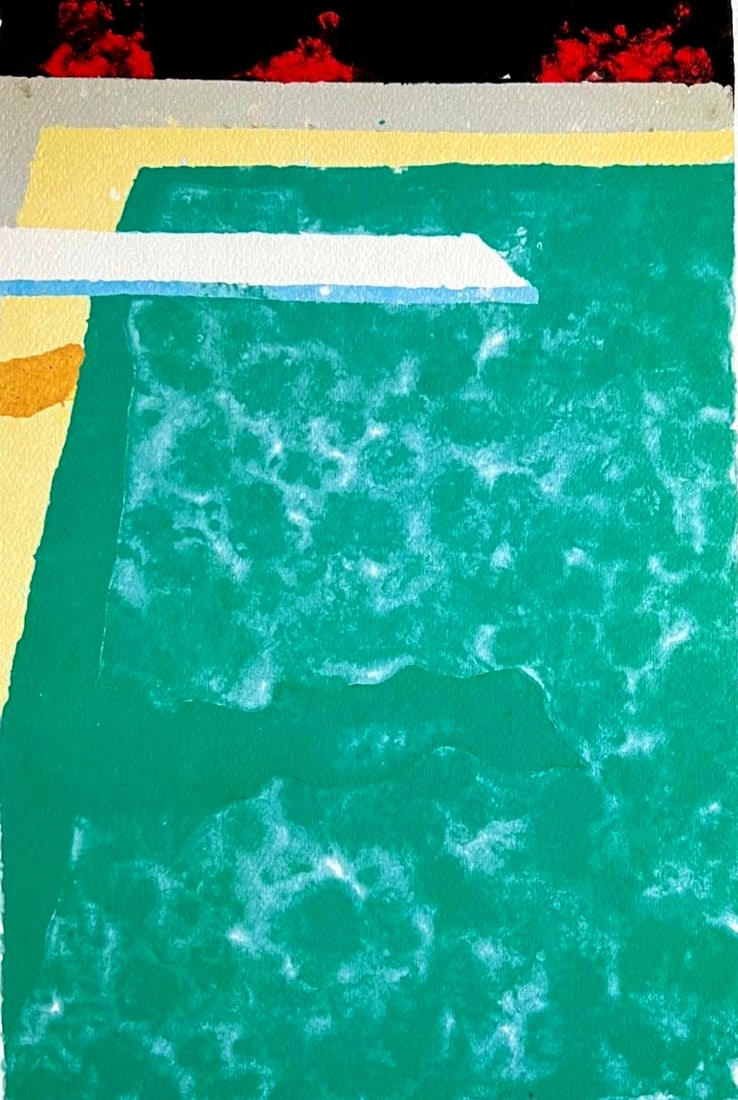 Lithograph: numbered limited - David Hockney - 3