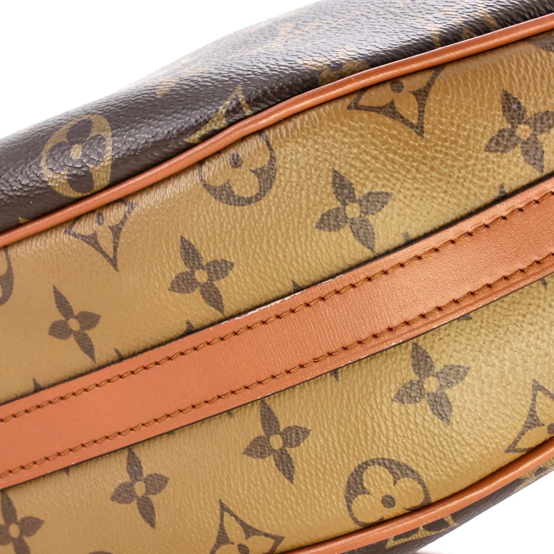 Louis Vuitton Reverse Monogram Canvas Loop Hobo - 8