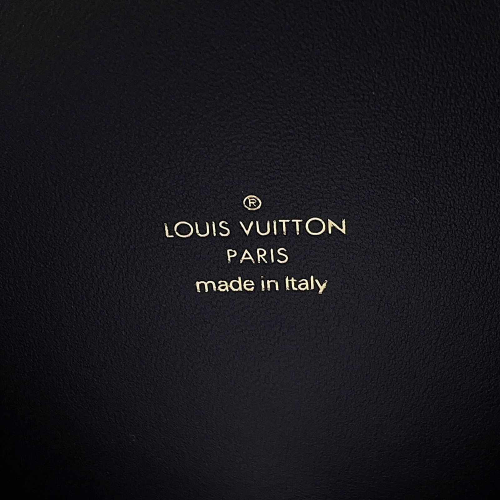 Louis Vuitton Monogram Reverse Handbag - 18