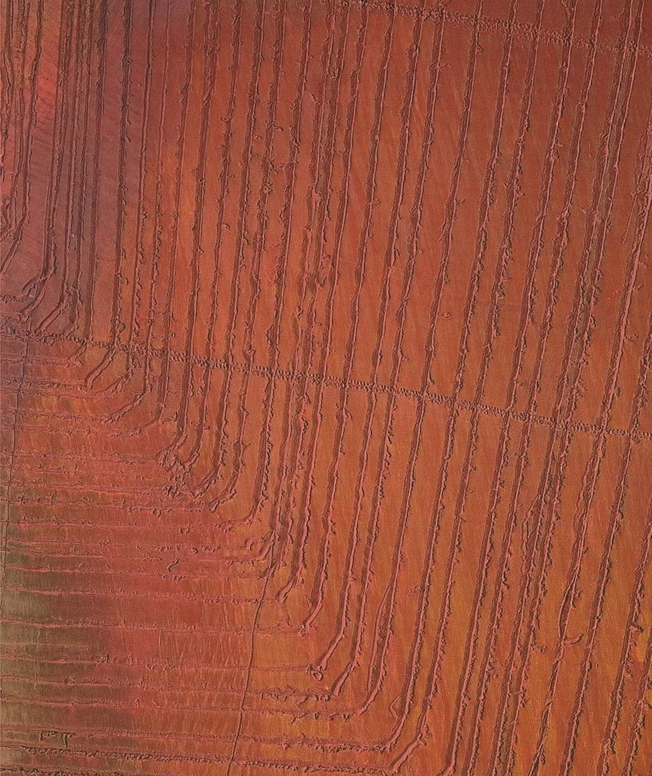 Brow ARNULF RAINER Roland Garros French Open 31.5" x 21.25" Poster 2008 Abstract - 3