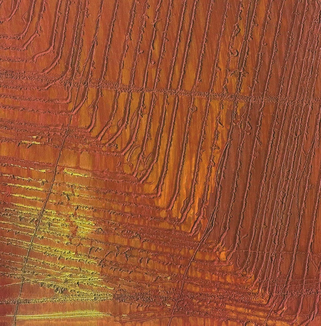 Brow ARNULF RAINER Roland Garros French Open 31.5" x 21.25" Poster 2008 Abstract - 4