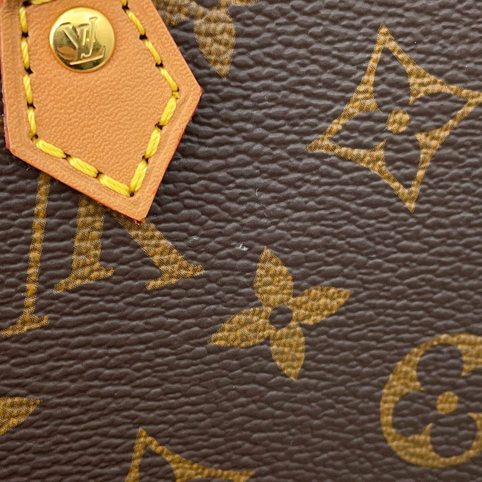 Louis Vuitton Monogram Handbag - 7