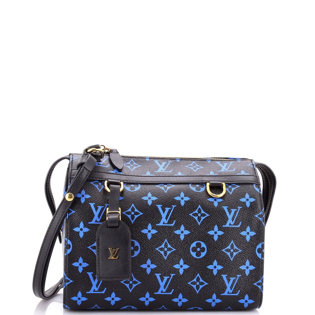 Louis Vuitton Speedy Amazon Bag - Monogram Canvas PM (1 of 5)