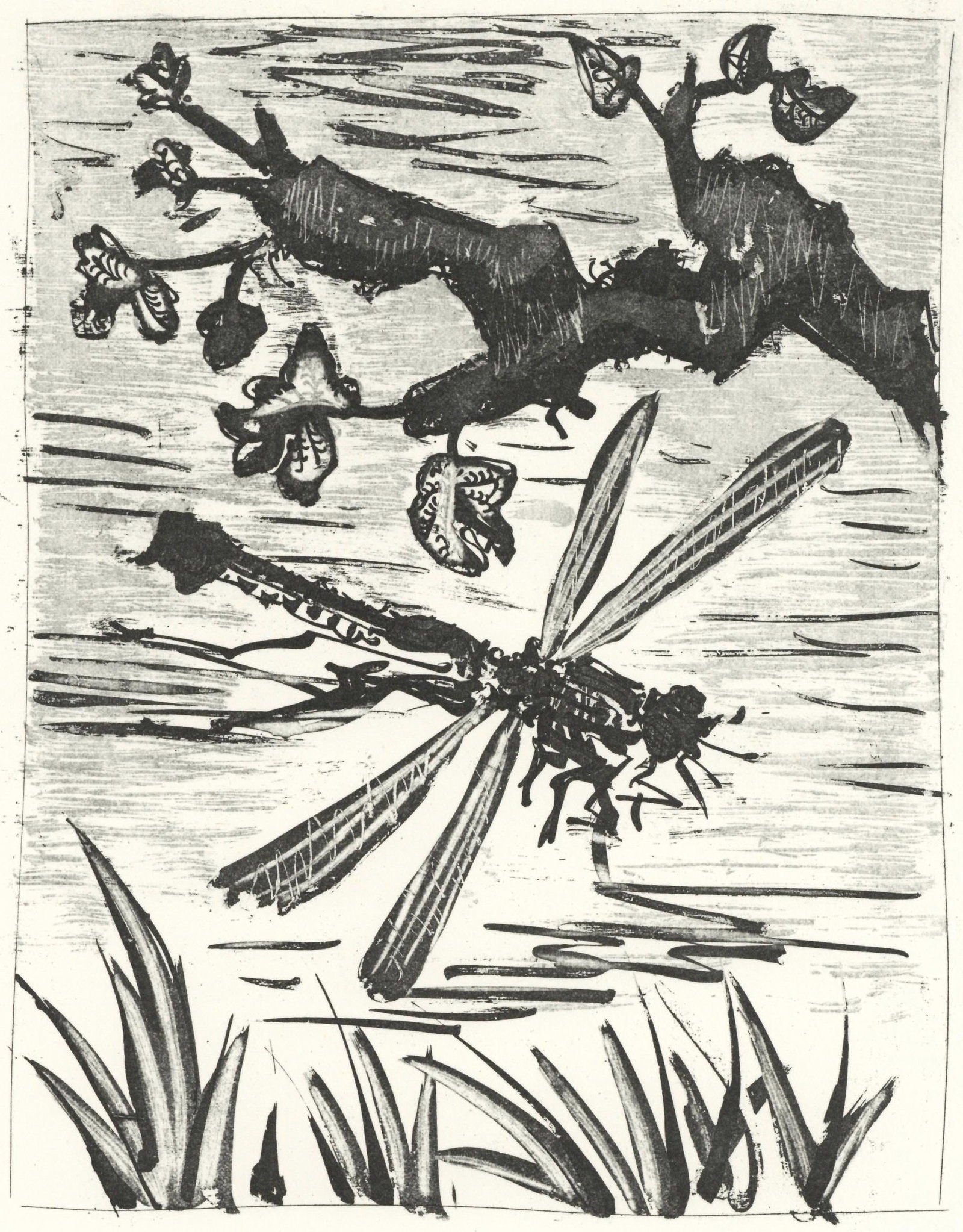 Lithograph - Pablo Picasso - La Libellule (The Dragonfly) (Orozco p.82) - Histoire naturelle: Lithograph - Pablo Picasso - La Libellule (The Dragonfly) (Orozco p.82) - Histoire naturelle A rare and striking lithograph by Pablo Picasso, La Libellule (The Dragonfly), is up for auction. Printed o