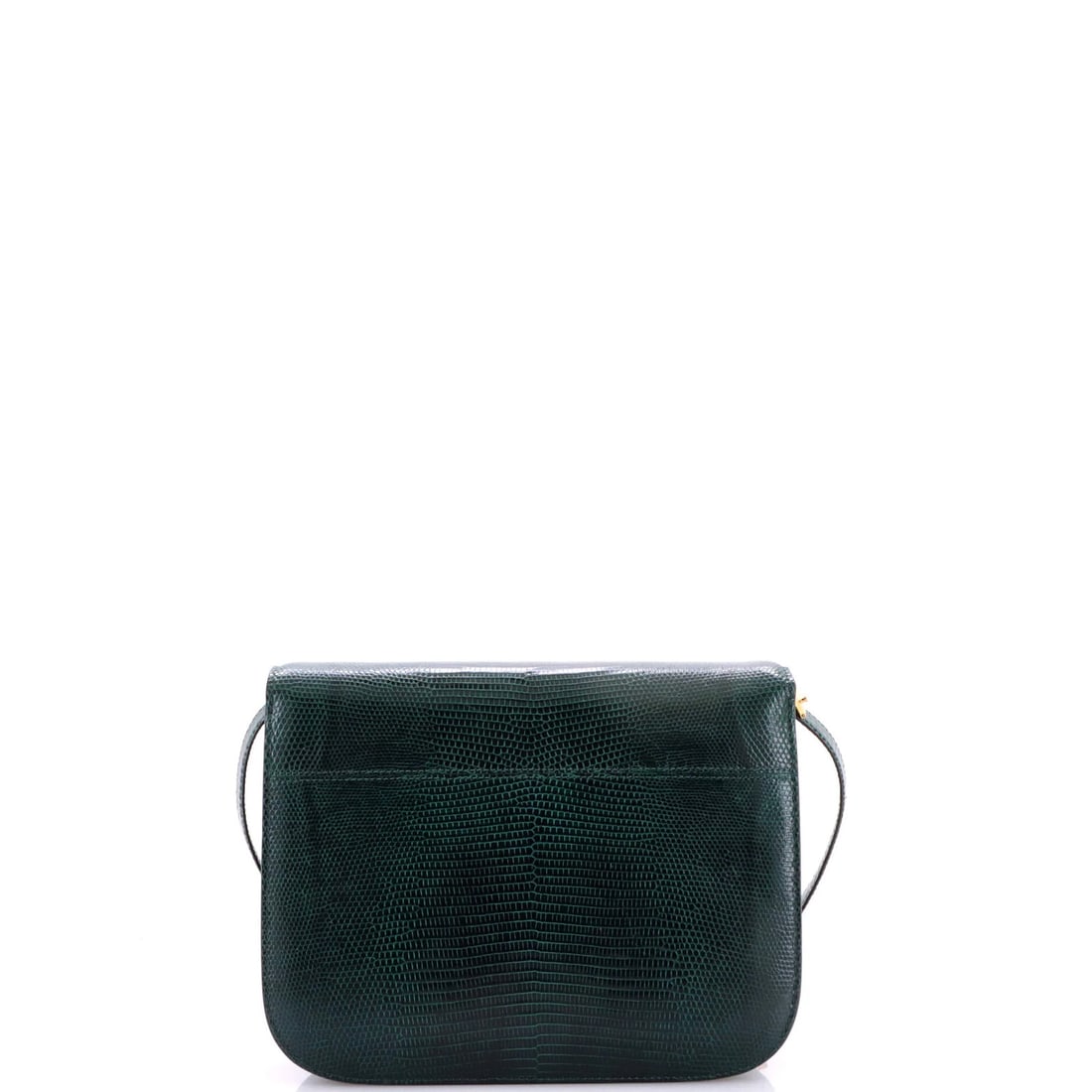 Celine Classic Medium Lizard Box Bag - 3