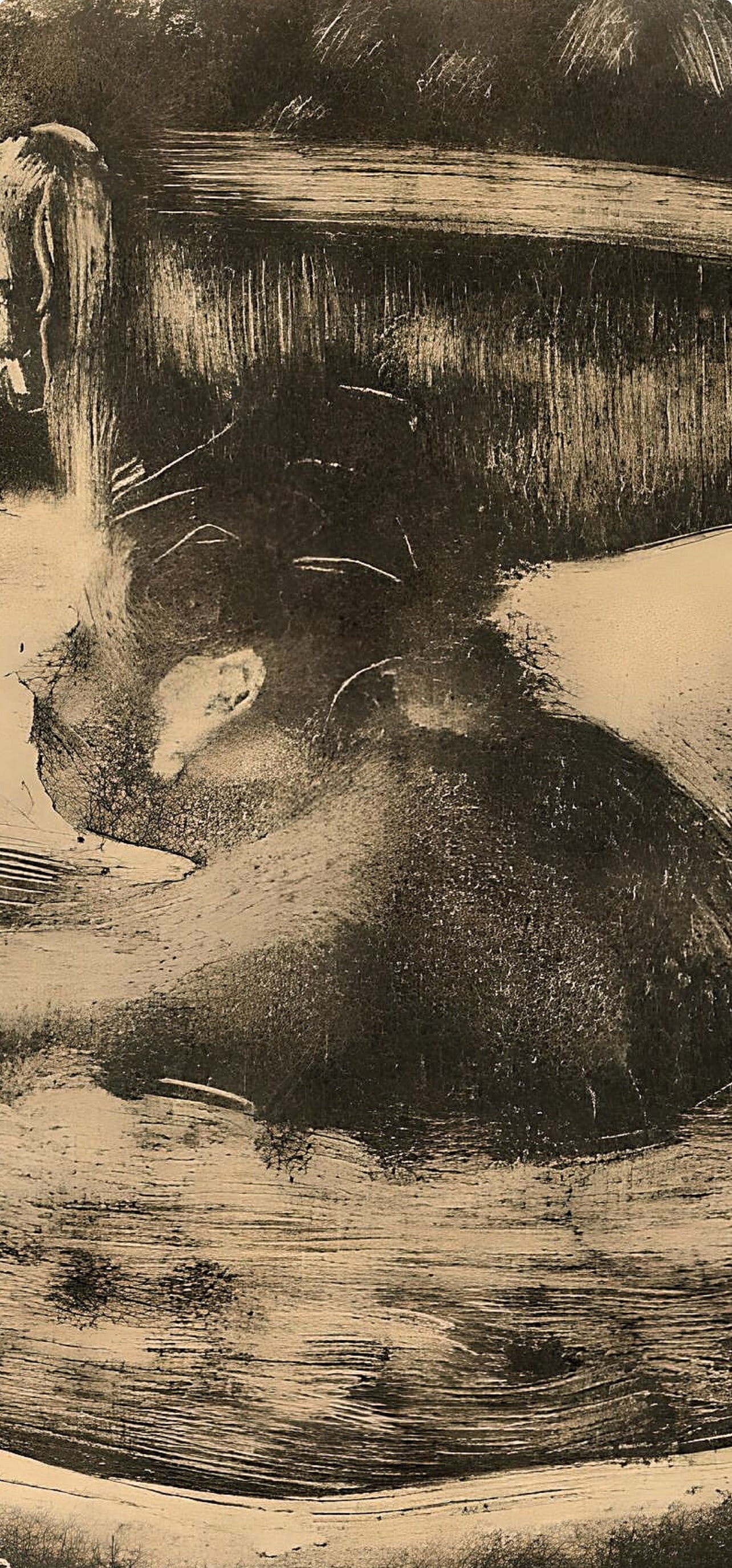 Edgar Degas Monotypes - Le Bain (E. Degas) - 2