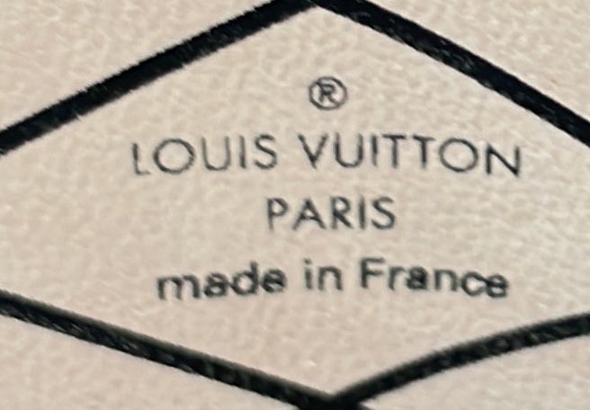 Canvas Louis Vuitton Trunk Clutch Reverse Monogram - 8