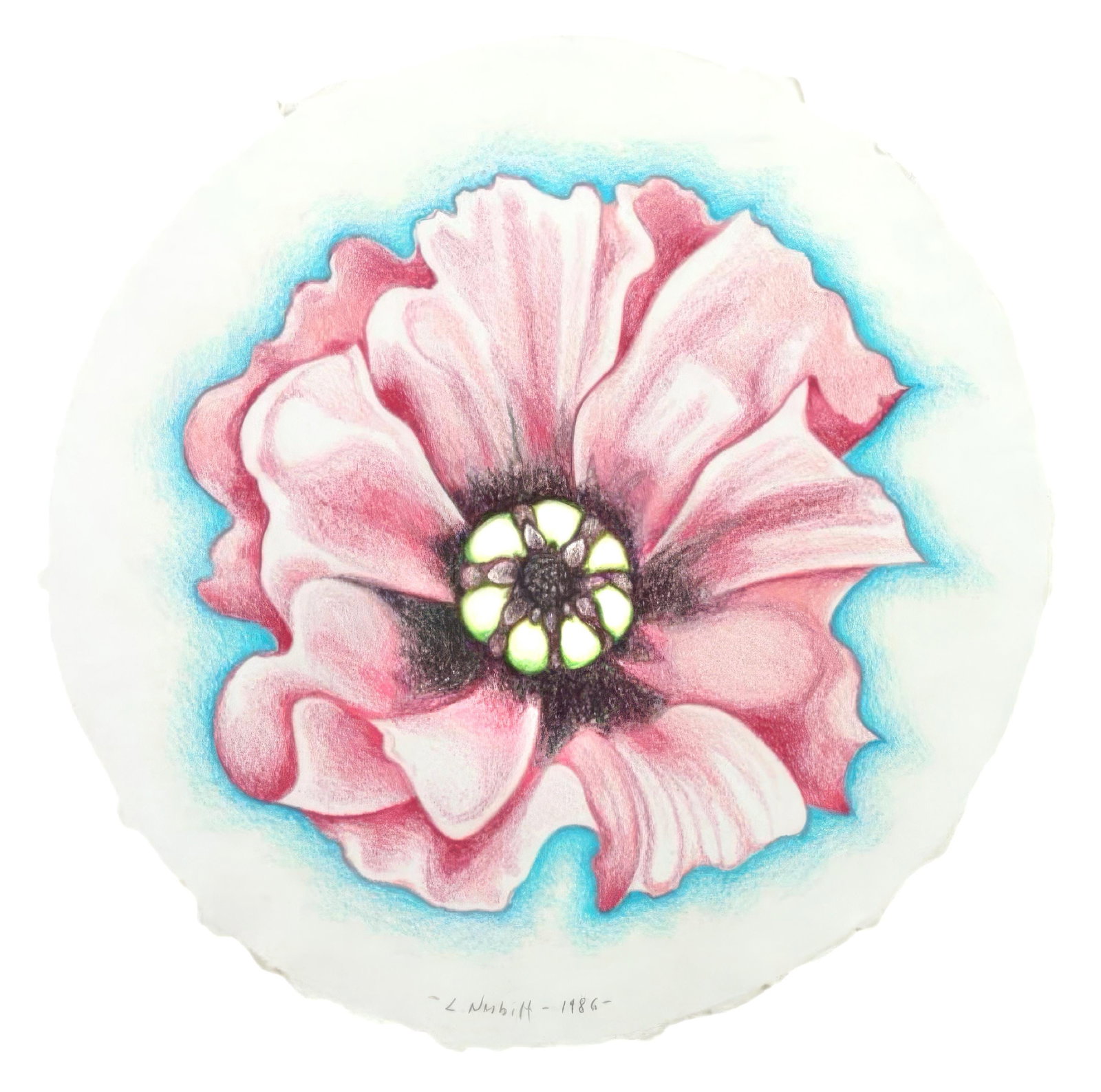 1986 - Lowell Nesbitt - Pink Poppy - Original Pastel Drawing: 1986 - Lowell Nesbitt - Pink Poppy - Original Pastel Drawing Lowell Nesbitt's Pink Poppy is a masterful pastel drawing that showcases the artist's innovative approach to realism, transforming a