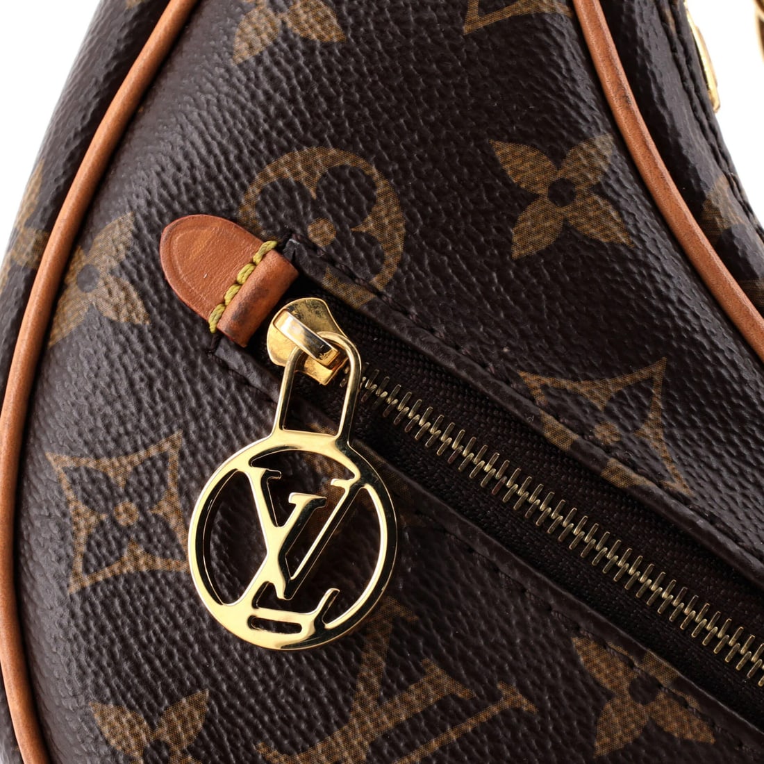 Louis Vuitton Monogram Canvas Loop Handbag - 6