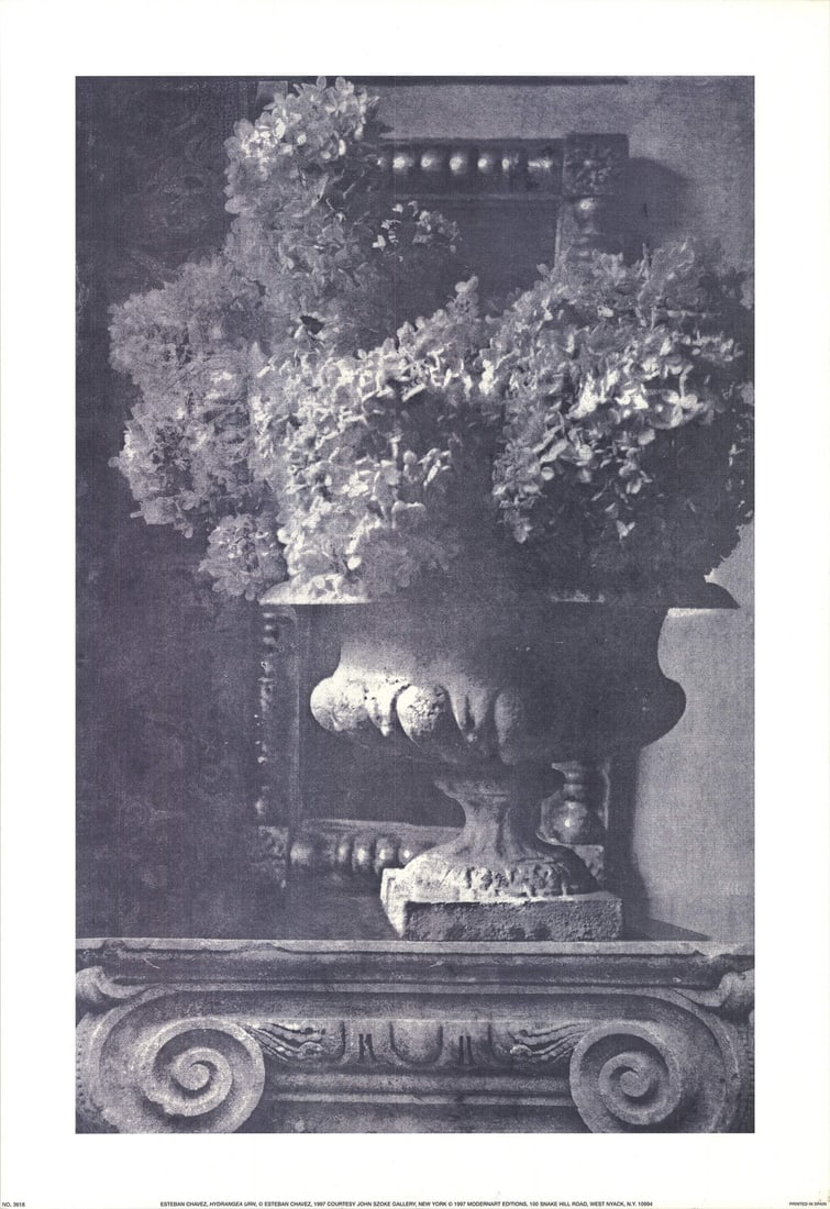 Esteban Chavez, 1997, Hydrangea Urn, Lithograph, Offset, Black, 32" x 22: Esteban Chavez, 1997, Hydrangea Urn, Lithograph, Offset, Black, 32" x 22 Esteban Chavez's striking 1997 lithograph, Hydrangea Urn, is a masterful exploration of texture and tone in black and white. Pr