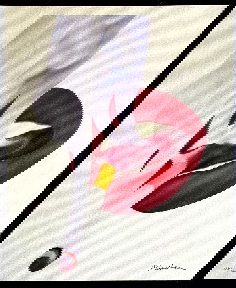 Published Tom Wesselmann Lithograph Numbered Op