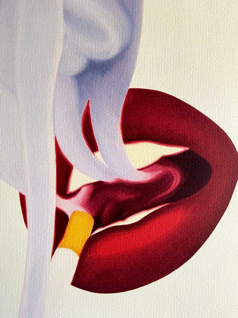Published Tom Wesselmann Lithograph Numbered Op - 3