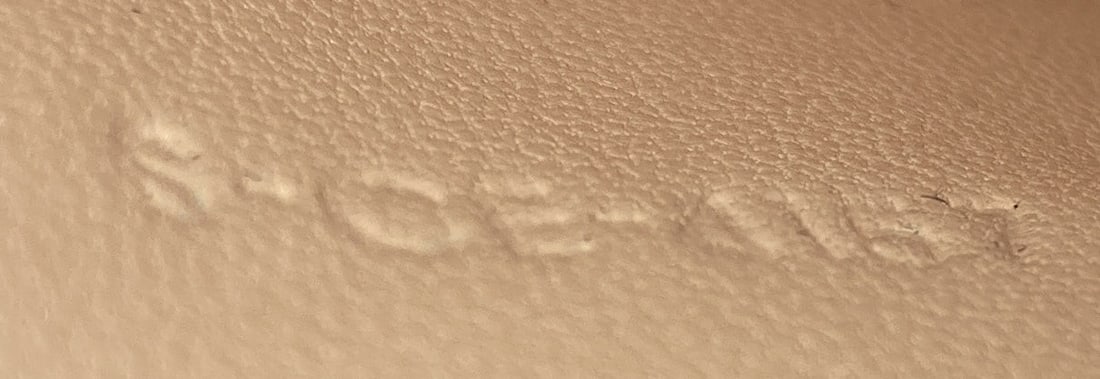 Celine Classic Medium Lizard Box Bag - 7