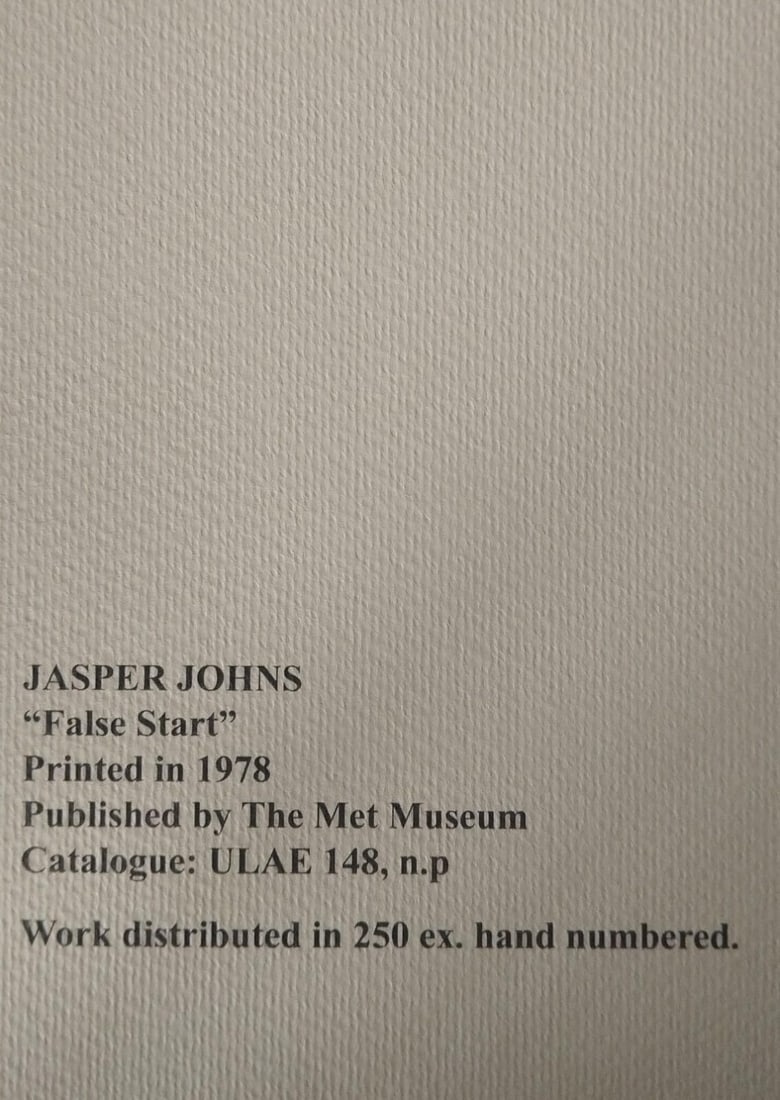 Jasper Johns Lithograph #Museum Numbered Op - 9