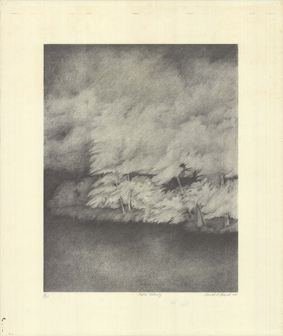 Kenneth Nedorost Signed Lithograph - 23.75" x 20", 1976: Kenneth Nedorost Signed Lithograph - 23.75" x 20", 1976 A rare and striking lithograph by Kenneth Nedorost, 'Gables Waterway' is a masterful example of American art from the 1970s. Measuring 23.75" x