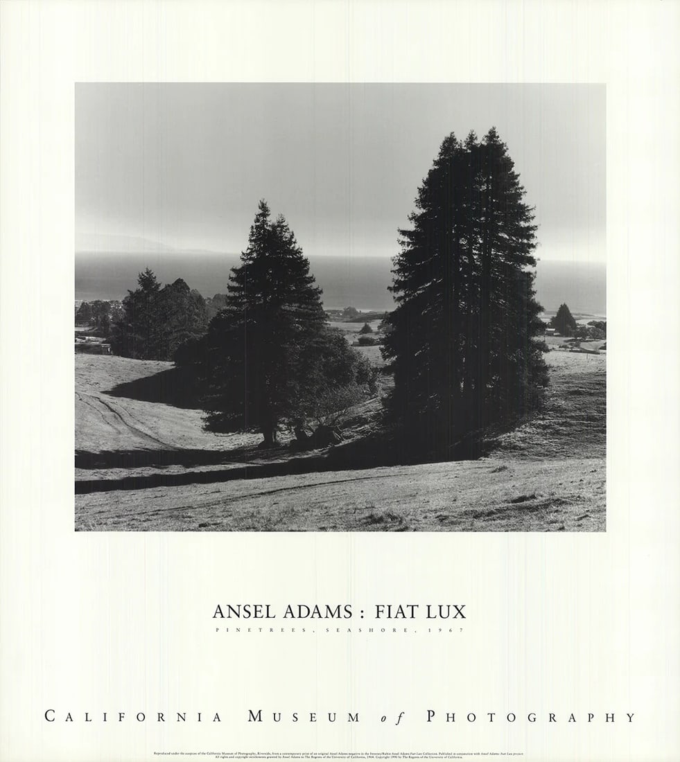 Ansel Adams Pinetrees Seashore Lithograph, 1990, 28" x 25: Ansel Adams Pinetrees Seashore Lithograph, 1990, 28" x 25 Experience the serene beauty of Ansel Adams' Pinetrees, Seashore lithograph, created in 1990. This stunning black and white print measures 28