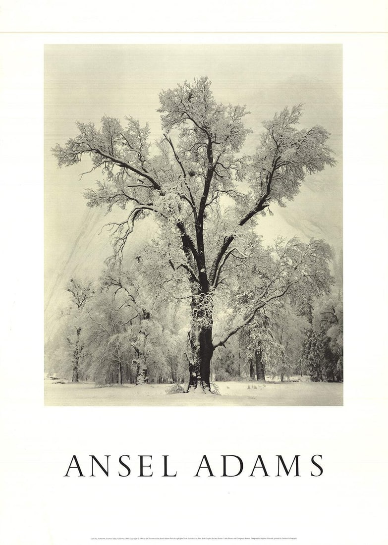 Ansel Adams' Yosemite Valley Oak Tree Snowstorm Poster (36" x 25.5"): Ansel Adams' Yosemite Valley Oak Tree Snowstorm Poster (36" x 25.5") Experience the majesty of Yosemite Valley through Ansel Adams' iconic 1984 lithograph, Oak Tree, Snowstorm. Measuring 36 inches tal